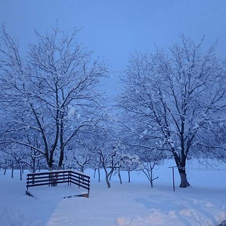 Apartman Plum Plitvice Drežnik Grad Exteriör bild