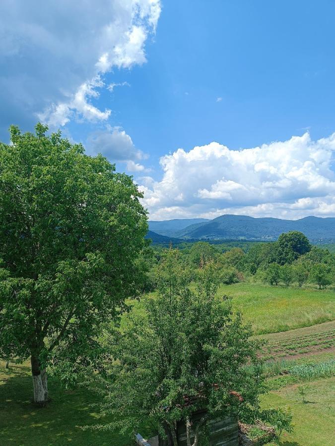 Apartman Plum Plitvice Drežnik Grad Exteriör bild