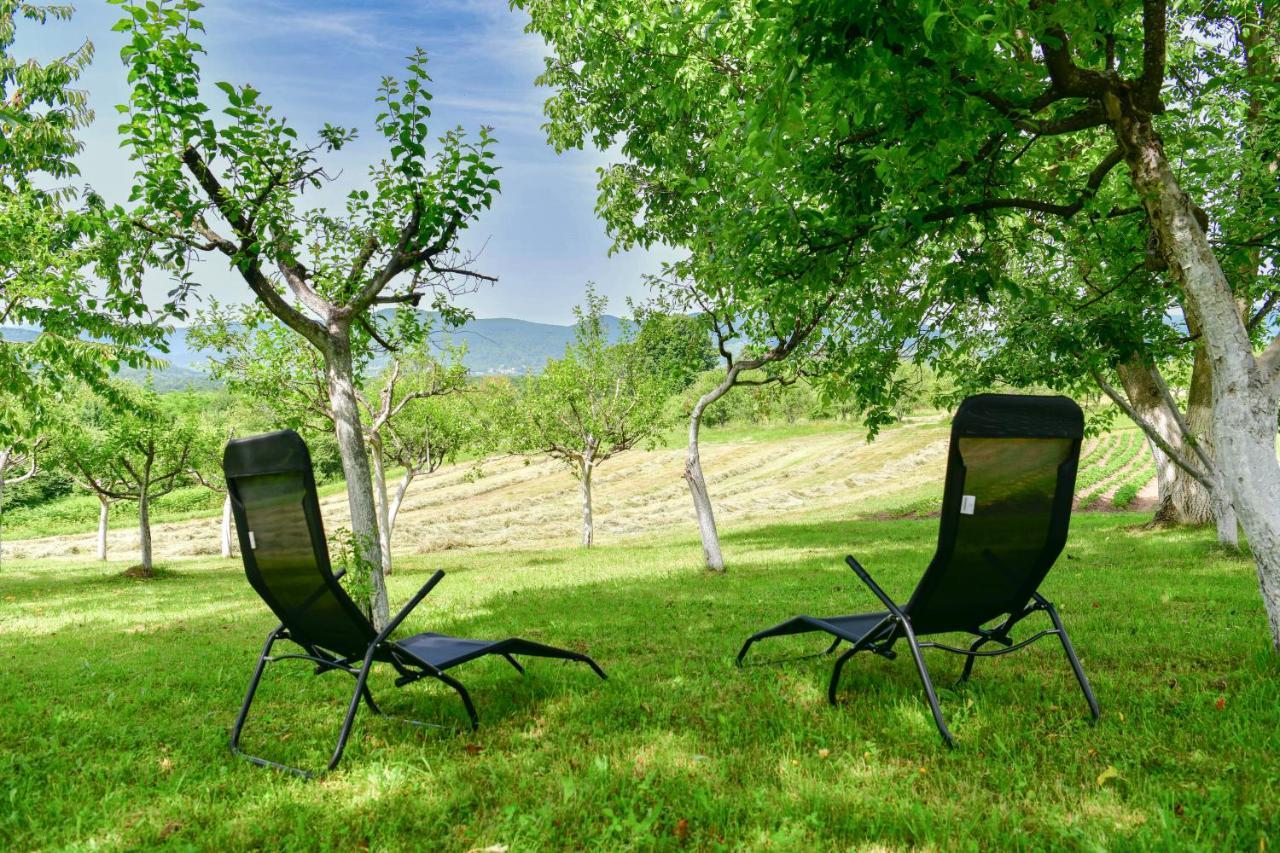 Apartman Plum Plitvice Drežnik Grad Exteriör bild